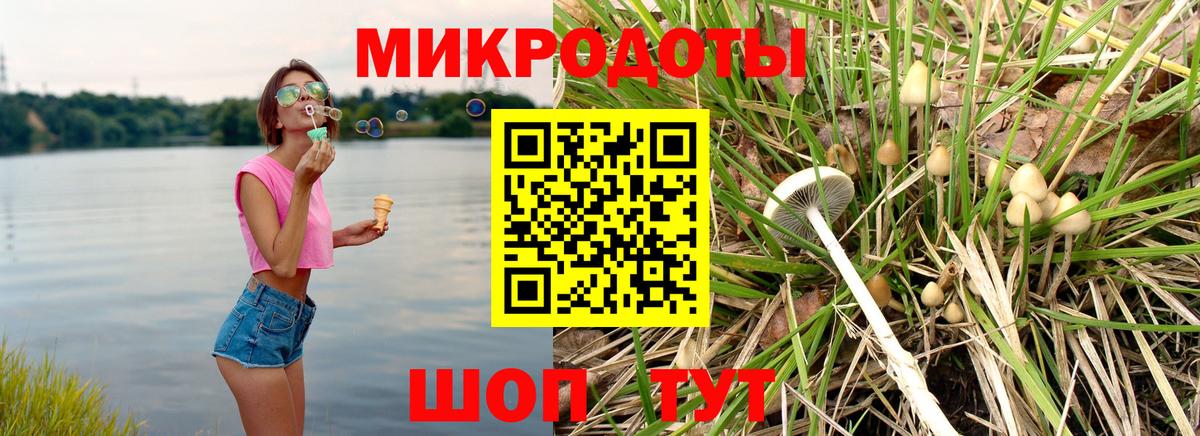 Выкса  Галлюциногенные грибы Cubensis  Вход с VPN  Галлюциногенные грибы Cubensis 