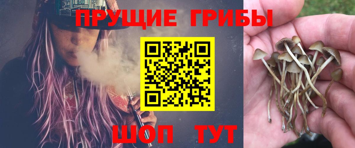 Галлюциногенные грибы GOLDEN TEACHER Выкса